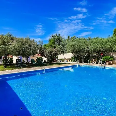 Διαμέρισμα Cote Oliviers 4p - Appt 4p Climatise Avec Piscine Beaucaire (Gard)