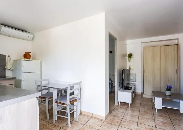 Côté Oliviers 4p - Appt 4p Climatisé Avec Piscine